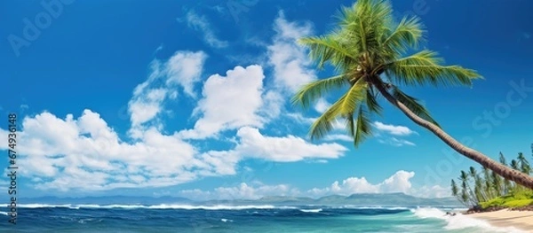 Fototapeta In the beautiful summer sky against a picturesque beach landscape a palm tree sways gently in the background providing a relaxing backdrop for a vacation by the stunning ocean waters