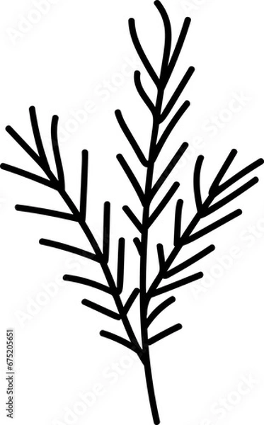 Fototapeta Hand drawn foliage element vector