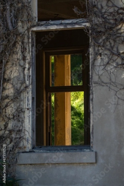 Fototapeta a window and an overgrown plant in an old building