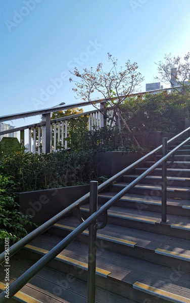 Fototapeta This is an outdoor staircase made of wooden deck.