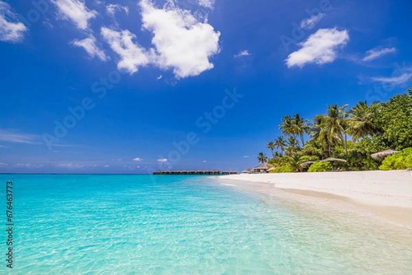 Fototapeta Amazing nature beach. Stunning sea coast palm trees sunny moody sky. Summer vacation travel holiday background. Maldives paradise destination. Luxury popular travel summer holiday landscape seascape