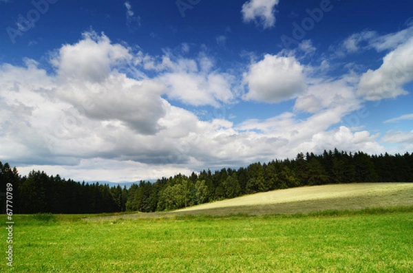 Fototapeta summer landscape