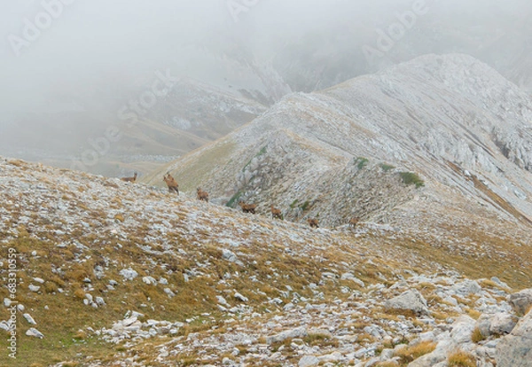 Fototapeta Appennini mountains, Italy - The mountain summit of central Italy, Abruzzo region, above 2500 meters, with alpinists