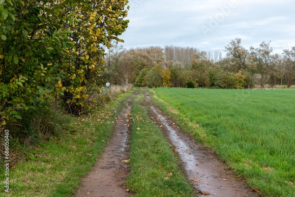 Fototapeta puddles on a dirt road,Running water filled on dirt road