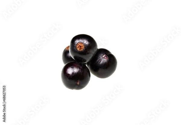 Fototapeta Blackcurrants fruit