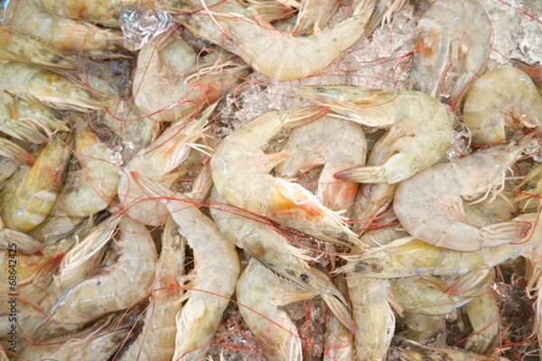 Fototapeta Fresh shrimps