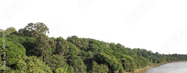 Fototapeta Green forest in summer, high resolution on transparent  background.