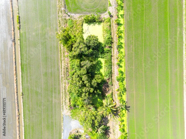 Fototapeta Aerial view the landscape greenfield of a lot of agriculture fields with solar roof top at warehouse. Farming and agriculture industry. urban area of Thailand.