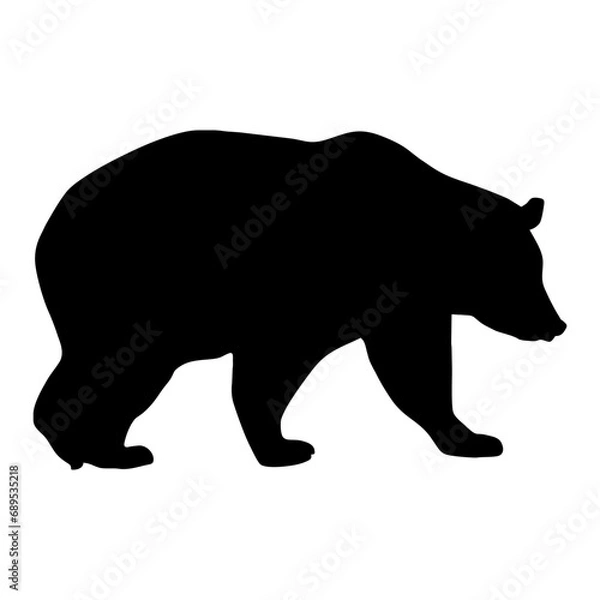 Fototapeta silhouette of a black bear walking