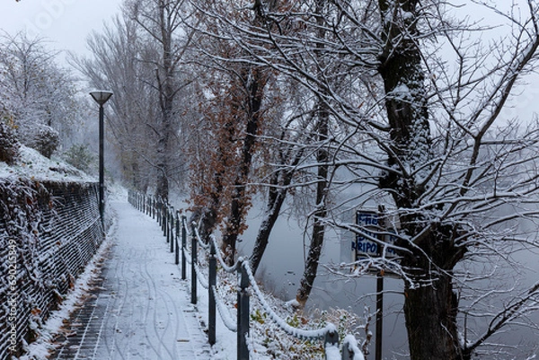 Fototapeta Evening snowy Nature with Trees around River Vltava, Holesovice, the most cool Prague District, Czech Republic