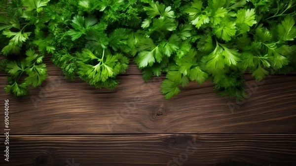 Fototapeta A wooden background with fresh parsley and ample room for your text in the upper part of the image.