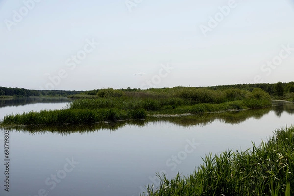 Fototapeta a wide river in eastern Europe, the Neman