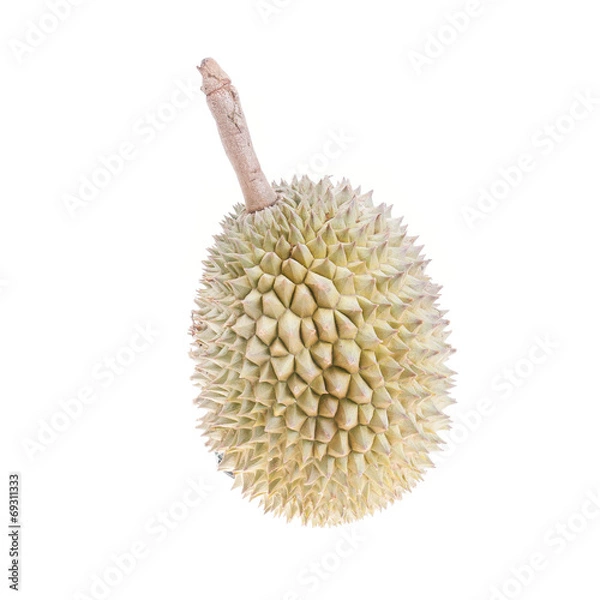 Fototapeta Durian fruit on wood background