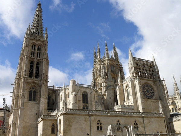 Fototapeta catedral gotica