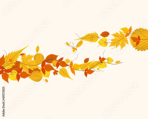 Fototapeta autumn leaves