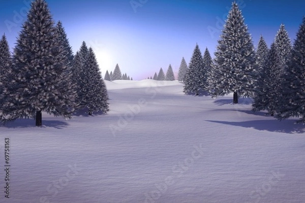 Fototapeta Snowy landscape with fir trees