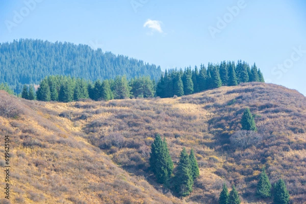 Fototapeta Immerse yourself in the beauty of fall foliage. Experience the tranquility of a forest surrounded by mountains. Lose yourself in the arms of nature and find solace.