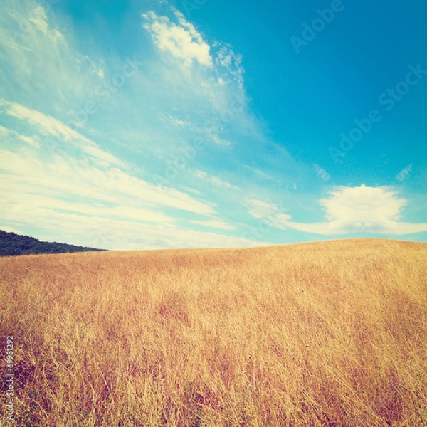 Fototapeta Hills of Tuscany