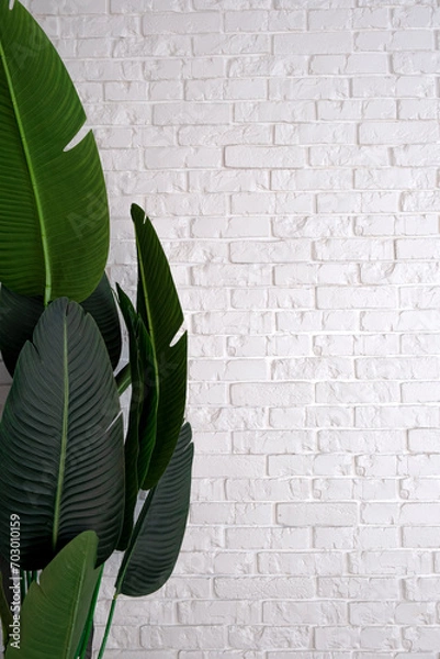 Fototapeta Palm leaf with white brick wall. Vertical background for social nets.