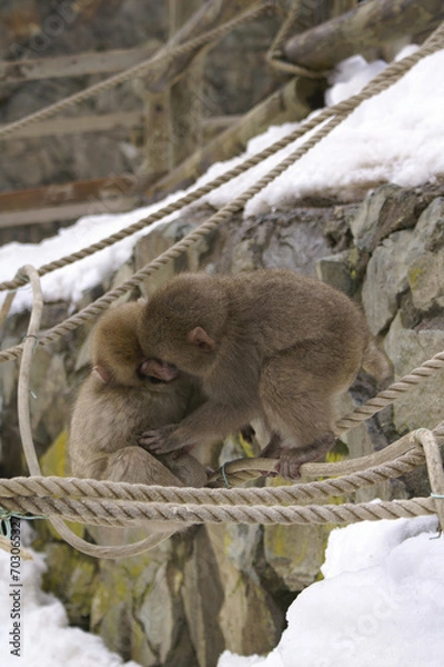 Fototapeta Child monkey kisses his friend on the playground equipment.