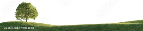 Fototapeta Hills with grass on a transparent background. 3D rendering.	