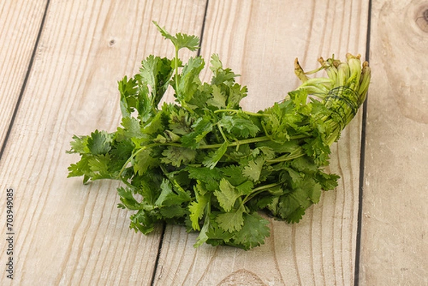 Fototapeta Green coriander leaves herb heap