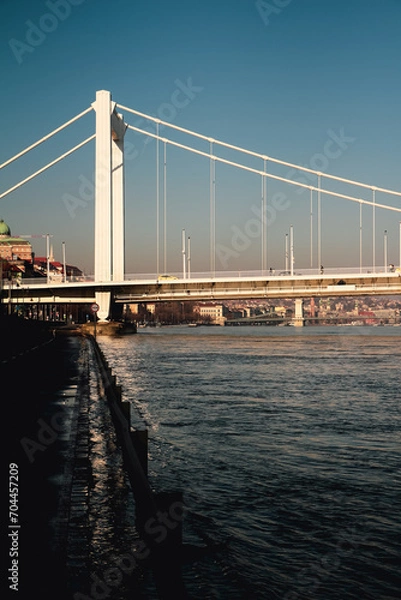 Obraz Elizabeth Bridge in Budapest