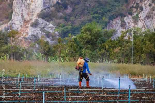 Fototapeta Agriculture or Farmer with male crop dusting in growing green mountain.