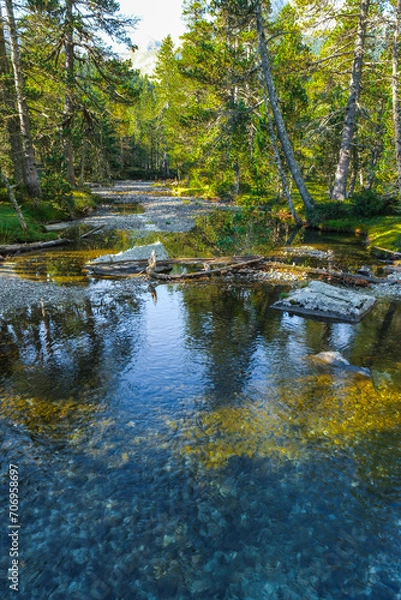 Fototapeta Aiguestortes National Park, Catalonia, Spain, Europe.