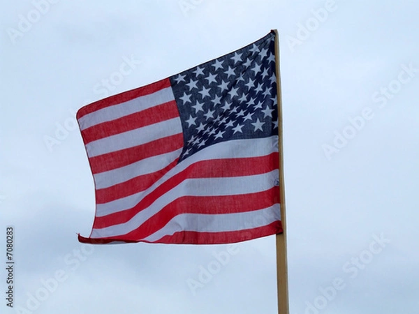 Fototapeta the flag of the USA