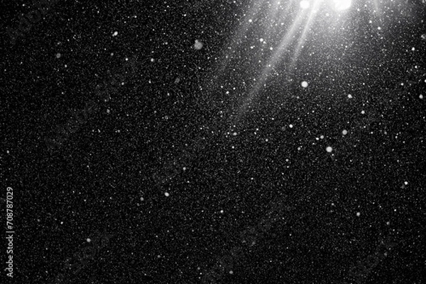 Fototapeta Floating dust particles. White dust  texture on a black background with a bright ray of light coming through. Snowflakes falling at night from the sky. 