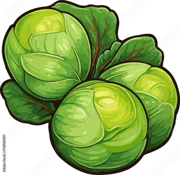 Fototapeta Brussels sprout clipart design illustration