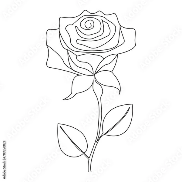 Fototapeta Continuous One line rose flower hand drawn outline vector art illustration and valentine's day line art design
