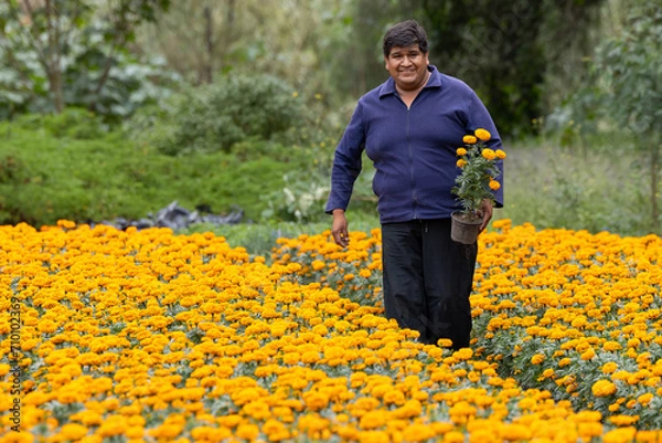 Obraz Mexican farmer, holding a cempasúchil plant next to his crop in Xochimilco, Mexico City