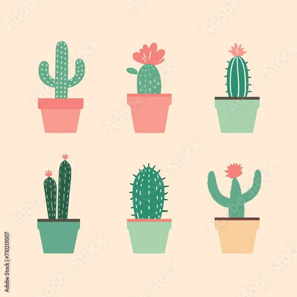 Fototapeta Six different cacti in colorful pots, simple flat design. Home decor, indoor plants, cute cacti collection vector illustration.