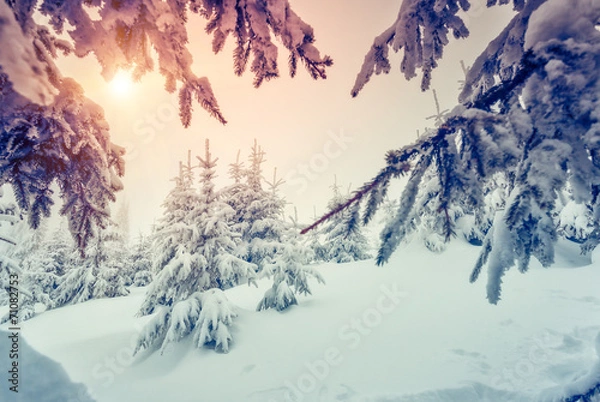 Fototapeta wonderful winter landscape