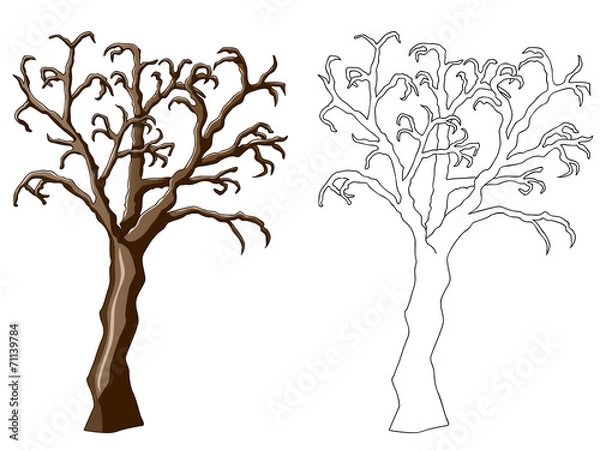 Fototapeta tree illustration