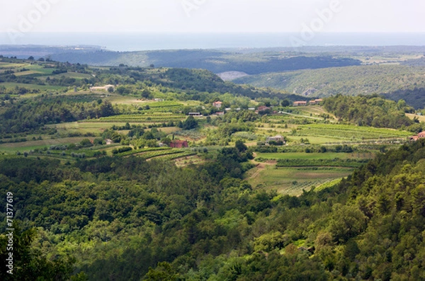 Fototapeta Green Mediterranean landscape during summer in the Istrian peninsula, with the Adriatic sea in the background