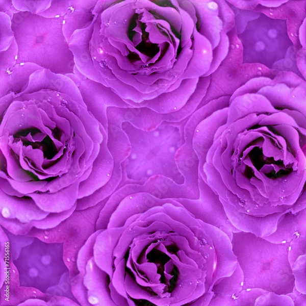 Fototapeta Beautiful purple flower background