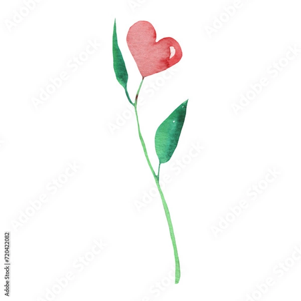 Fototapeta Watercolor red heart flower element on white background. Beautiful decorative elements in shape of hearts isolated on white backround.Valentine day