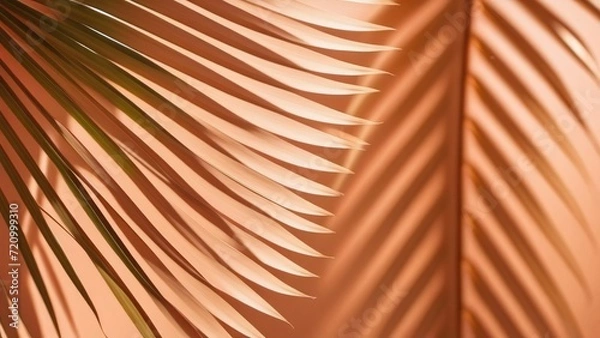 Fototapeta Close-up of a palm leaf on a peach fuzz background, abstract background with a palm leaf and shadow on a peach fuzz background, background trend of the year 2024