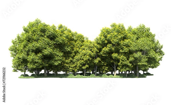 Obraz Green forest isolated on background. 3d rendering - illustration