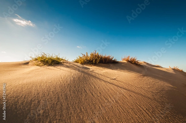 Fototapeta Sand dunes on the coast of Sicily