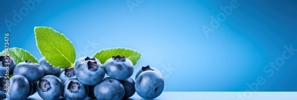 Fototapeta Blueberry berries on blue background, wide horizontal panoramic banner with copy space, or web site header with empty area for text.