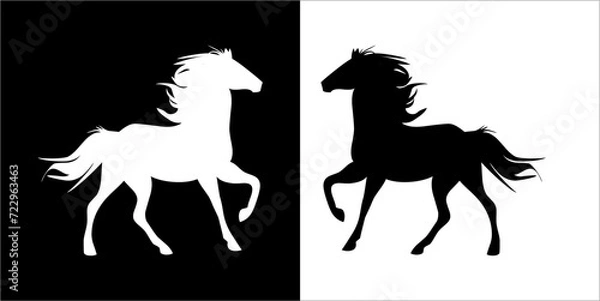 Fototapeta Illustration vector graphics of horse icon