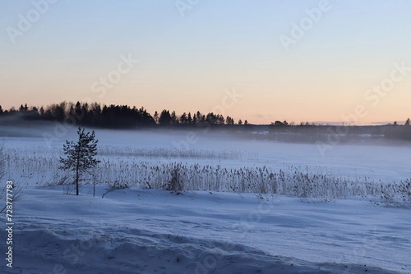 Fototapeta The lake in fog on a winter day with blue sky. Forest and grass in cold frozen water.