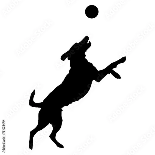 Fototapeta Dog playing with ball