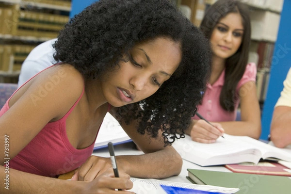 Obraz University student working in library