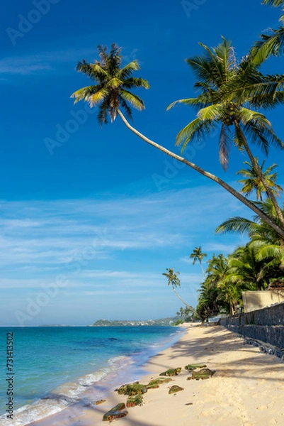 Fototapeta Beautiful Indian Ocean coastline on the island of Sri Lanka, Unawatuna.