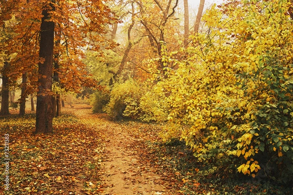 Fototapeta Autumn park